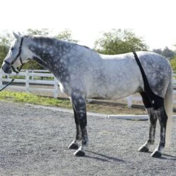 Ice Horse Stifle Wrap - Black -Horse Tack Supplies 632119 800 800