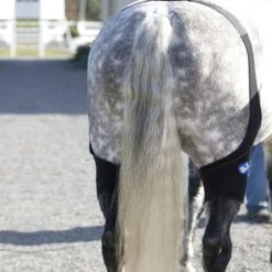 Ice Horse Stifle Wrap - Black -Horse Tack Supplies 632120 800 800