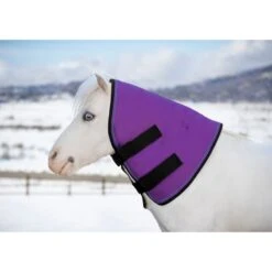 Kensington Mini/Pony Signature Neck Warmer 180G - Purple