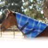 Kensington Signature Textilene Neck Piece - Kentucky Blue -Horse Tack Supplies 671606 800 800