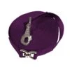 Kensington 30ft Flat Nylon Lunge Line - Wine W/Satin Nickle -Horse Tack Supplies 671668 800 800