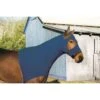 Perri's Lycra Mane Hood - Royal 1 Perri's Lycra Mane Hood - Royal -Horse Tack Supplies 672518 800 800