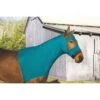 Perri's Lycra Mane Hood - Turquoise -Horse Tack Supplies 672527 800 800