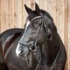 Horze Highbury Anatomical Crystal Dressage Bridle - Black -Horse Tack Supplies 672842 800 800