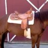 WoolBack Cinch Cover - Natural -Horse Tack Supplies 675043 800 800