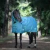 Weatherbeeta Green-Tec 900D Detach-A-Neck Medium Turnout Blanket - Dragonfly Blue/Bottle Green -Horse Tack Supplies 680363 800 800