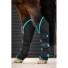 Amigo Travel Boots - Black/Teal/Dark Cherry -Horse Tack Supplies 680543 800 800