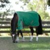 Weatherbeeta Comfitec Prelim Standard Neck Medium - Dark Green/Red/White -Horse Tack Supplies 685655 800 800