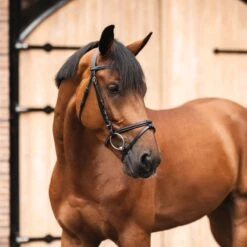 Horze Ice Water Removable Flash Bridle - Black -Horse Tack Supplies 695540 800 800