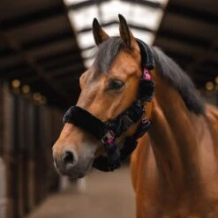 Horze Smoky Twilight Comfort Fleece Halter - Caviar Black 7 Horze Smoky Twilight Comfort Fleece Halter - Caviar Black -Horse Tack Supplies 698794 800 800