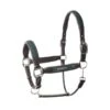 B Vertigo Evolve Leather Halter W/Braided Accents - Jungle Green -Horse Tack Supplies 698822 800 800