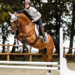 Horze Smoky Twilight Air Mesh Ear Net - Quiet Grey -Horse Tack Supplies 698836 800 800