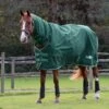 Saxon Defiant 1200D Combo Neck Heavy - Hunter Green/White -Horse Tack Supplies 707872 800 800