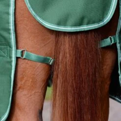 Saxon Defiant 1200D Combo Neck Heavy - Hunter Green/White -Horse Tack Supplies 707876 800 800