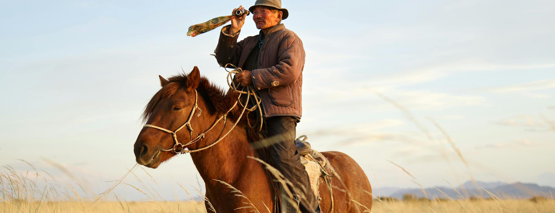 Horse Tack Supplies 3 Horse Tack Supplies -Horse Tack Supplies pexels arthousestudio 4321510